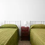 S352 - Sirolo, Ampio E Comodo Con Wifi Apartment *